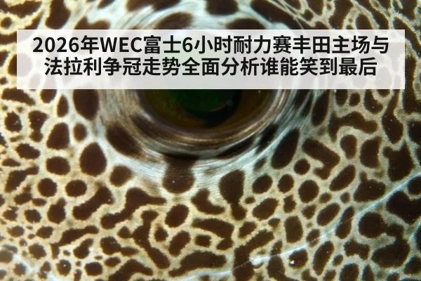 2026年WEC富士6小时耐力赛丰田主场与法拉利争冠走势全面分析谁能笑到最后